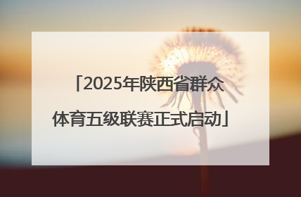 2025年陕西省群众体育五级联赛正式启动
