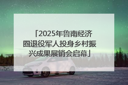 2025年鲁南经济圈退役军人投身乡村振兴成果展销会启幕