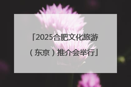 2025合肥文化旅游（东京）推介会举行