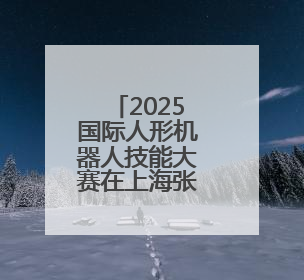 2025国际人形机器人技能大赛在上海张江启动