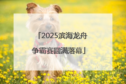 2025滨海龙舟争霸赛圆满落幕