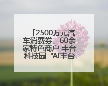 2500万元汽车消费券、60余家特色商户 丰台科技园“AI丰台 更京彩”未来玩家市集活动正式开幕