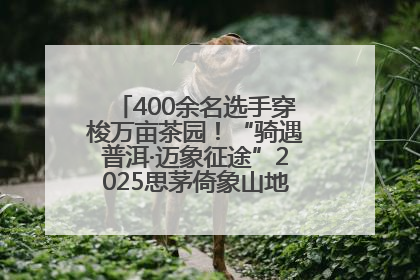 400余名选手穿梭万亩茶园！“骑遇普洱·迈象征途”2025思茅倚象山地自行车赛圆满举行