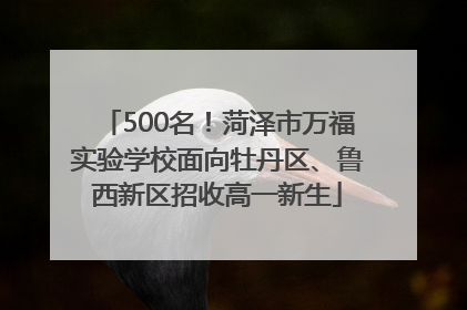 500名！菏泽市万福实验学校面向牡丹区、鲁西新区招收高一新生