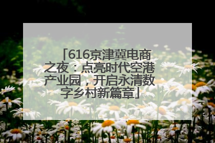 616京津冀电商之夜：点亮时代空港产业园，开启永清数字乡村新篇章
