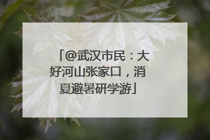 @武汉市民：大好河山张家口，消夏避暑研学游