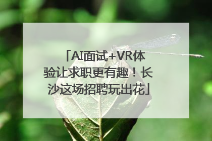 AI面试+VR体验让求职更有趣！长沙这场招聘玩出花