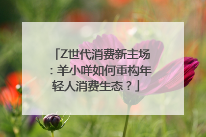 Z世代消费新主场：羊小咩如何重构年轻人消费生态？